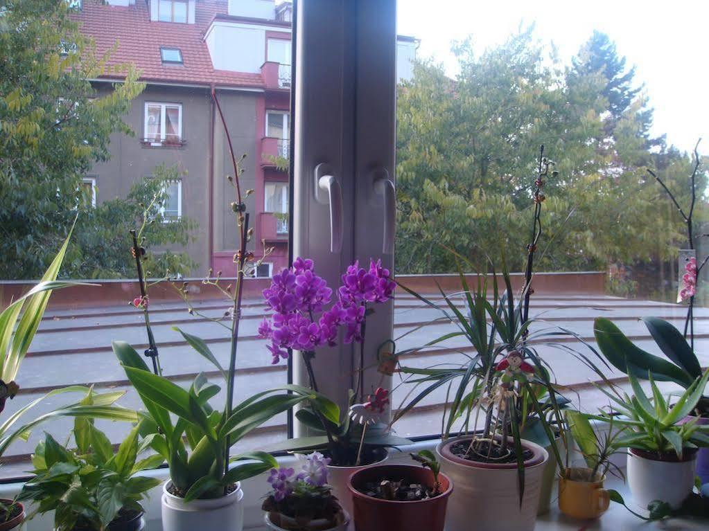 Minihotel Vitex Prag