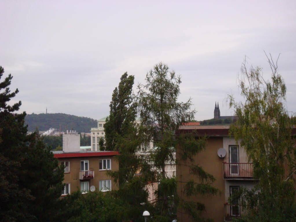 Minihotel Vitex Hotell